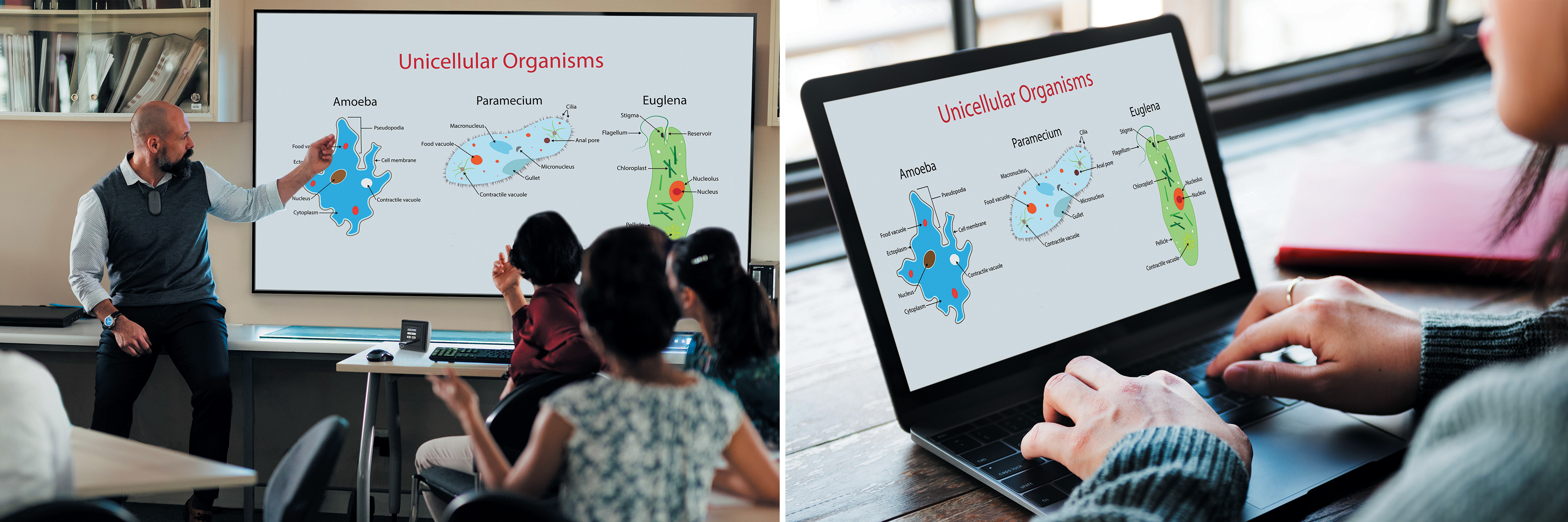 Use the StudioStation to record a lesson or presentation to post for viewing.