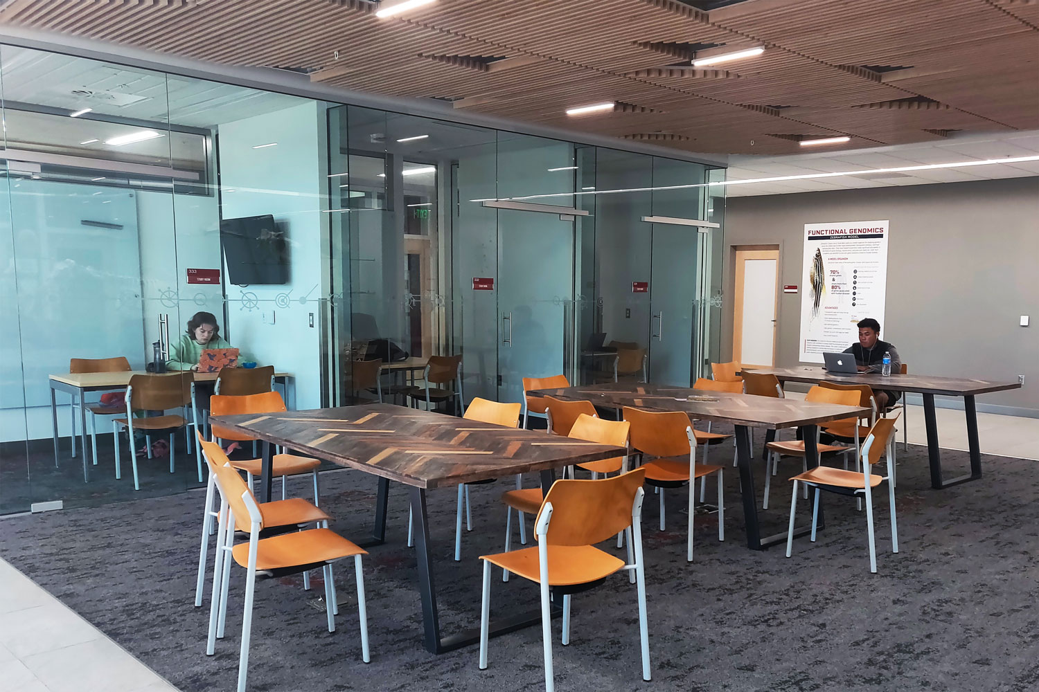 Walls of glass provide students with quiet private spaces to study and collaborate while maintaining visual contact with the adjacent student lounge.