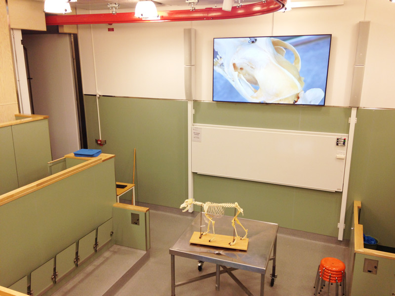 A veterinary school classroom