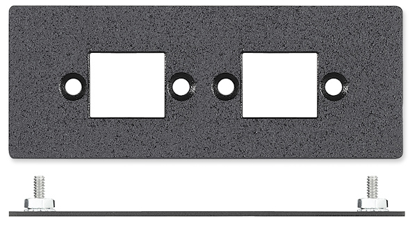 Double Space AAP with openings for Two Crestron TPSBLOCK-10 - Black, Two Openings